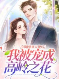闪婚禁欲大佬后,我被宠成高岭之花