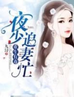 白素夜既白