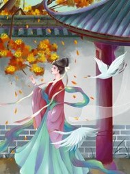 绾君心顾安远江绾