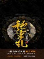 秘宝手札小说阅读