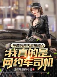 不要叫我天王接班人我真是司机阅读
