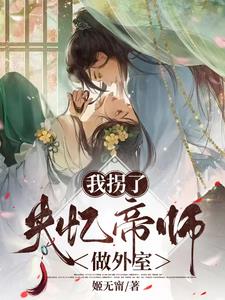 我拐了失忆帝师做外室