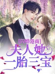 主角是乔柚安谢砚南的