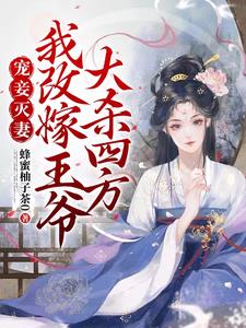 宠妾灭妻我改嫁王爷大杀四方阅读