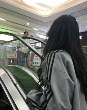 如何为始皇崽耕出万里江山 作者：木兰竹小说阅读